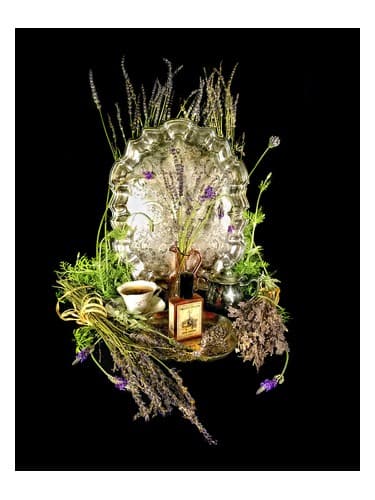 Estate Lavender - املاک اسطوخودوس