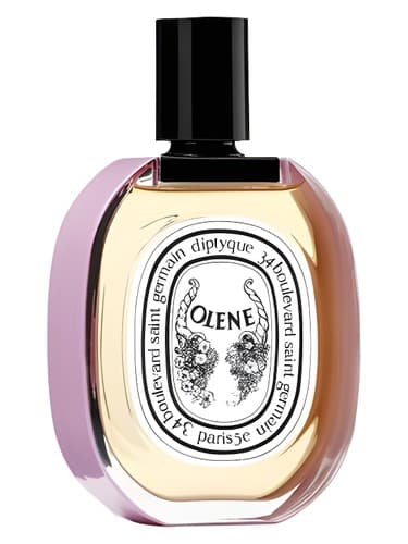 Impossible Bouquet Olene - دسته گل غیرممکن اولن
