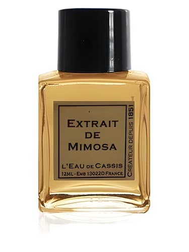 Mimosa