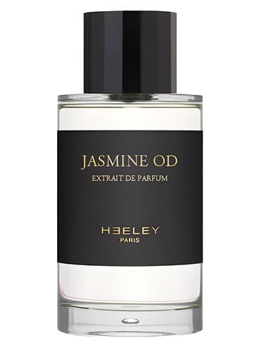 Jasmine OD - یاس OD
