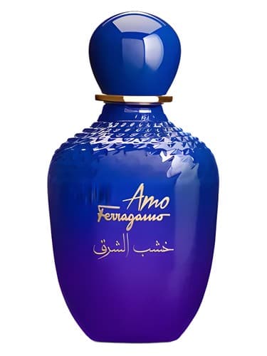 Amo Ferragamo Oriental Wood - وود شرقی آمو فراگامو