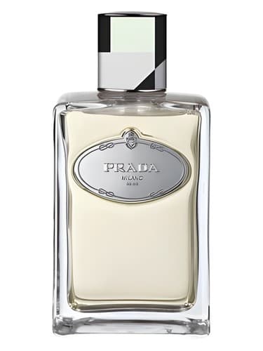 Infusion de Vetiver