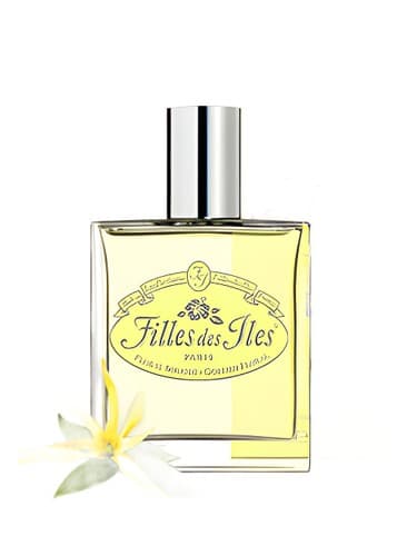 Floral Solaire - تک نفره گل