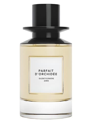 Parfait d'Orchidee