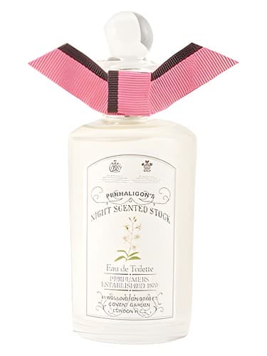 Night Scented Stock - استوک معطر نایت