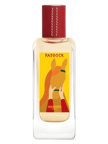 Paddock - پادوک
