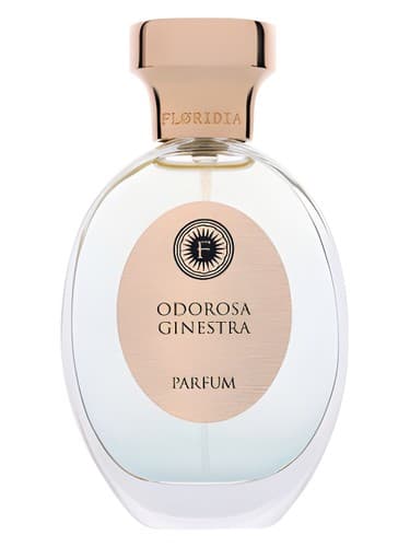 Odorosa Ginestra