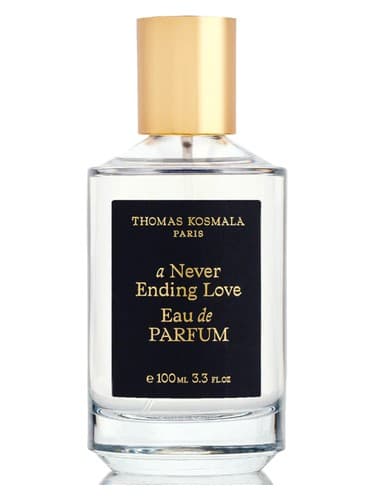 A Never Ending Love - لاو بی پایان